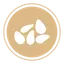 Sésamo